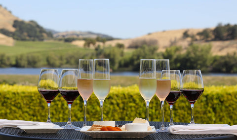 Napa Valley Wine Tasting & Vineyard Tour